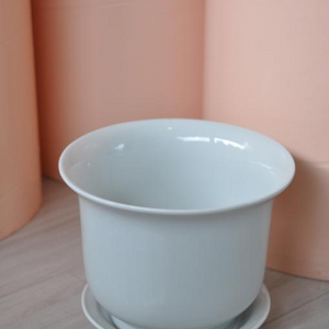 Pflanzentop mit Untersetzer 15.jpg